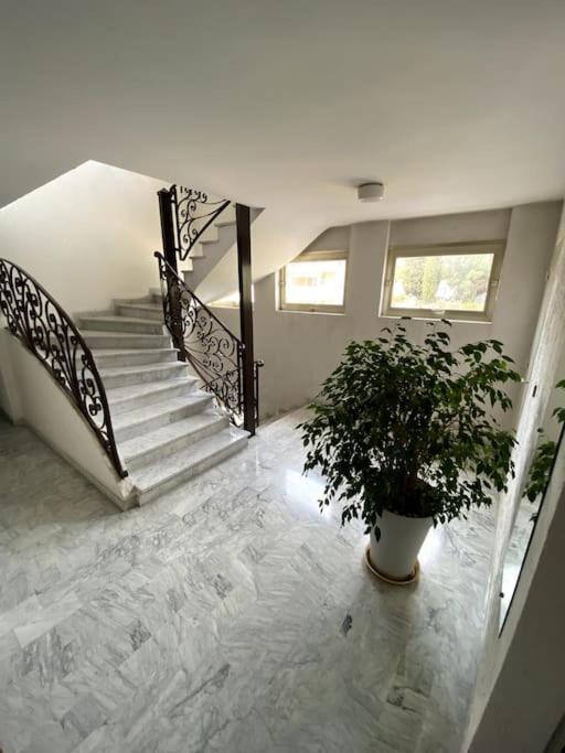 Logement Cosy, Situe Entre Ciel Et Mer Vence Εξωτερικό φωτογραφία